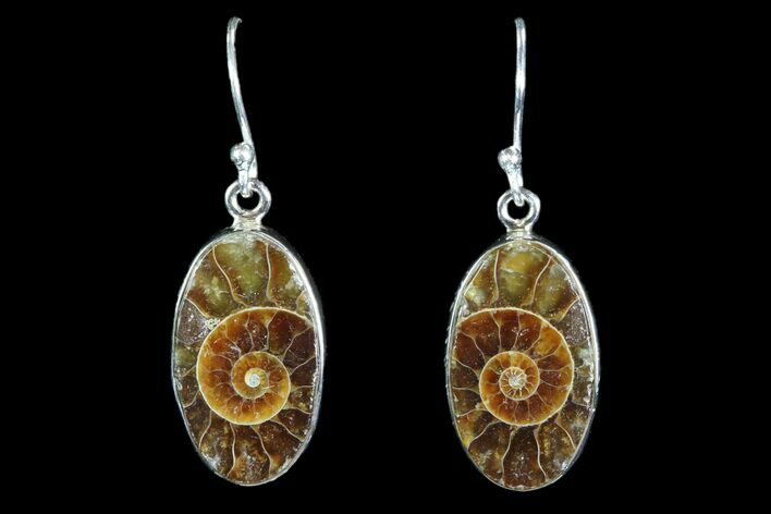 Fossil Ammonite Earrings - Sterling Silver #82254